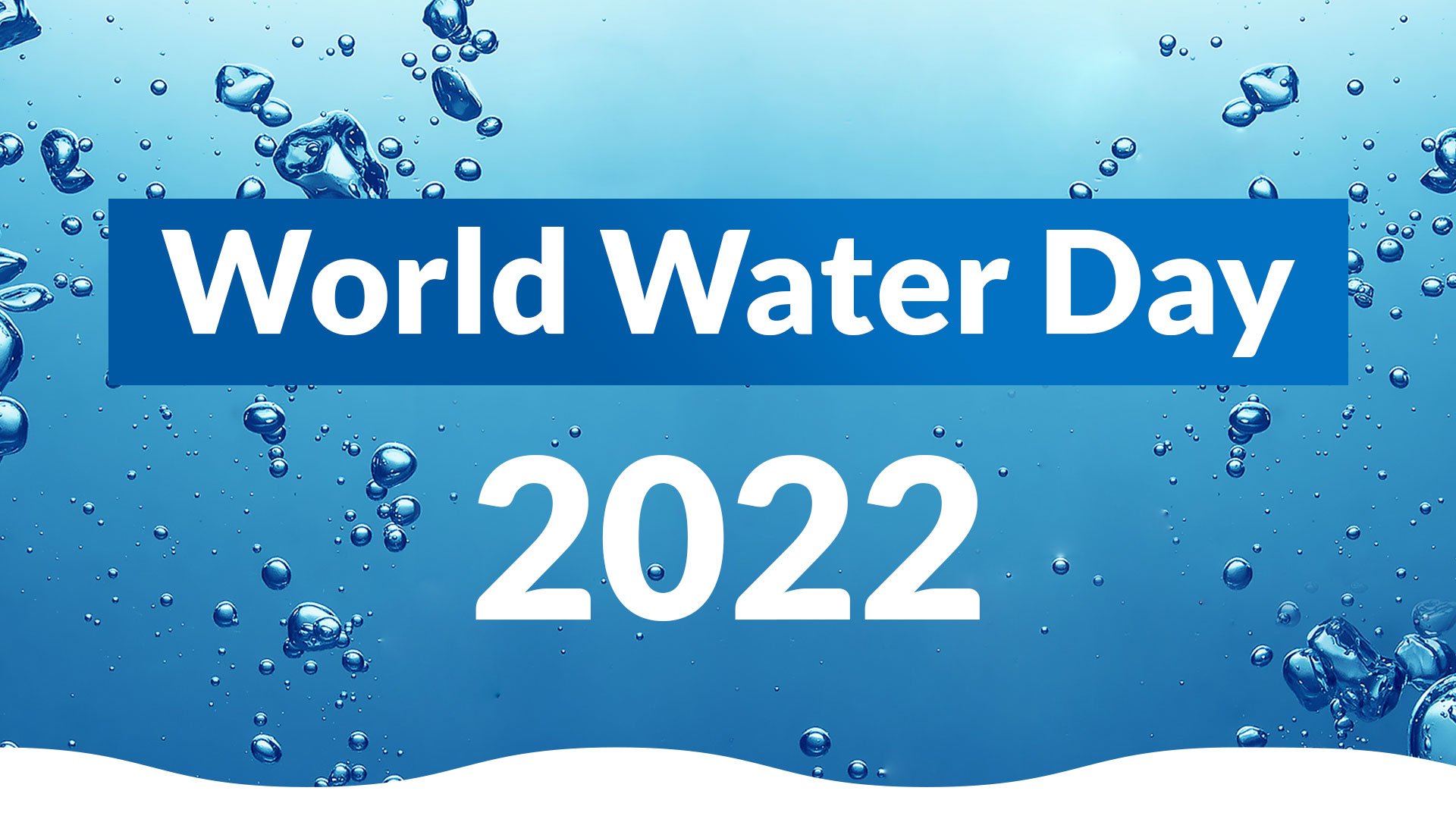 Conserve Groundwater and your Wallet - World Water Day 2022