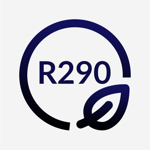 R290