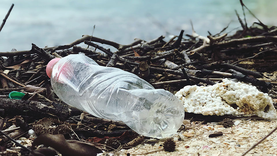 Has Coca-Cola found the answer to eliminating single-use plastic bottles?